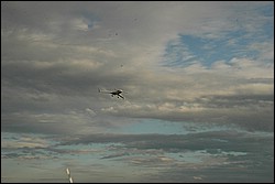 2SC_0203.JPG