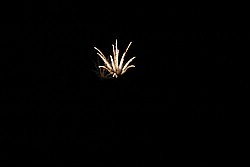 2SC_0320.JPG
