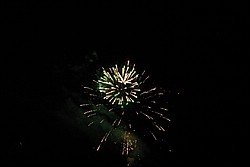 2SC_0331.JPG