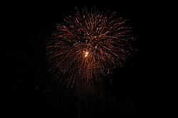 2SC_0386.JPG