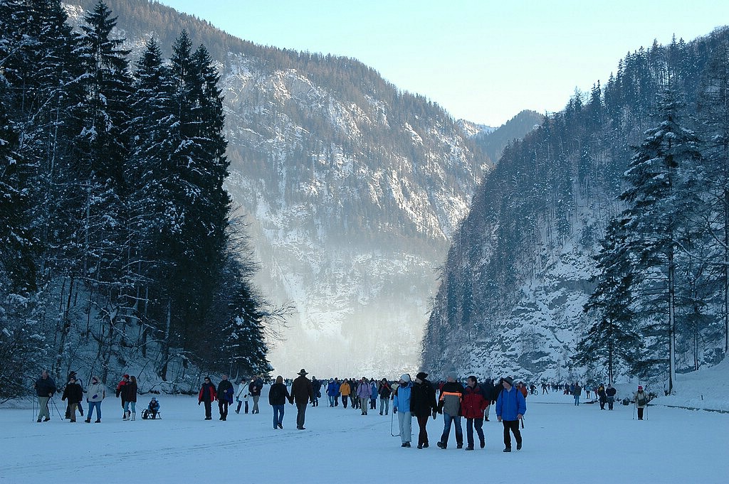 DSC_0002.JPG
