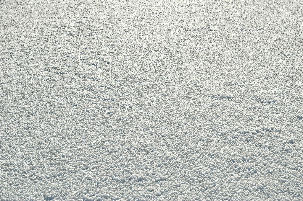 DSC_0017.JPG