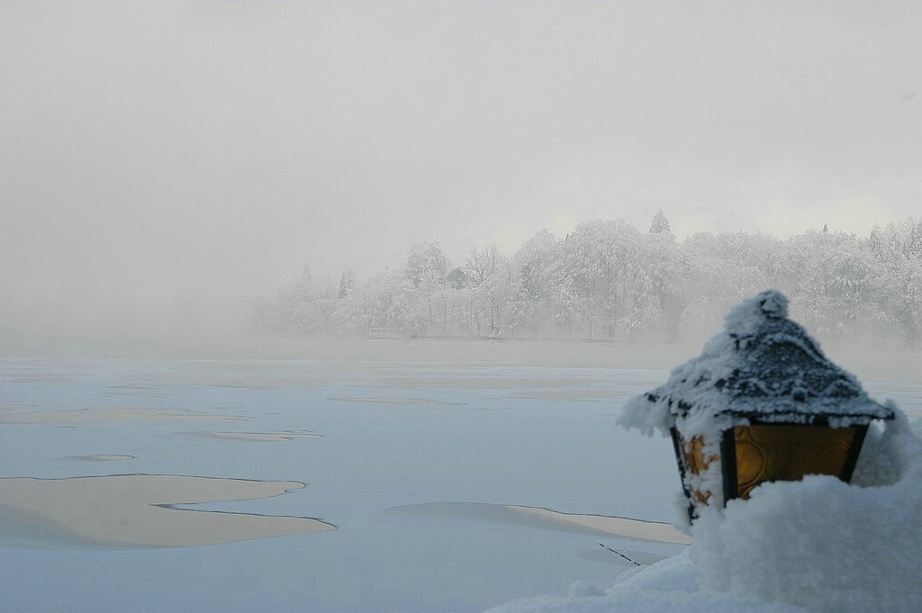 DSC_0008.JPG