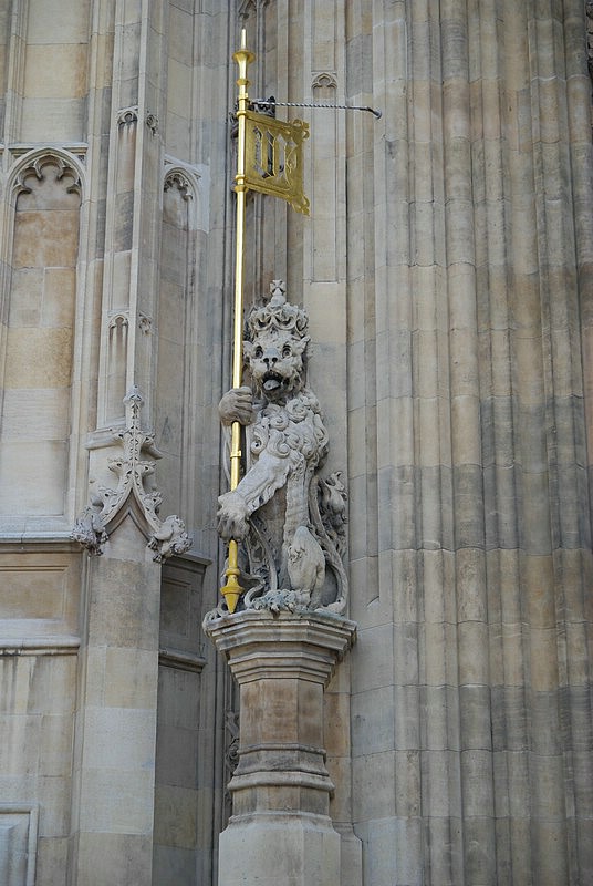 DSC_1918.JPG