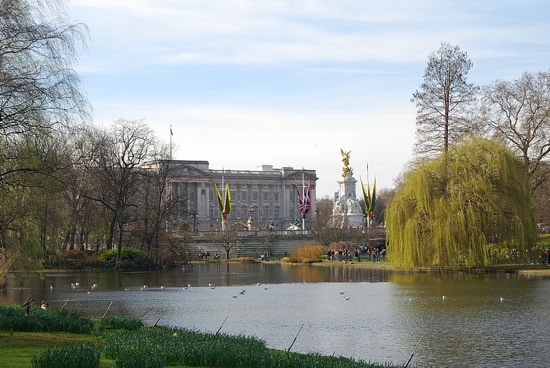 DSC_1990.JPG