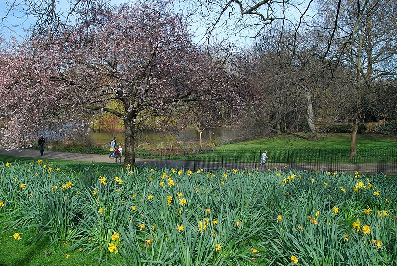 DSC_1994.JPG
