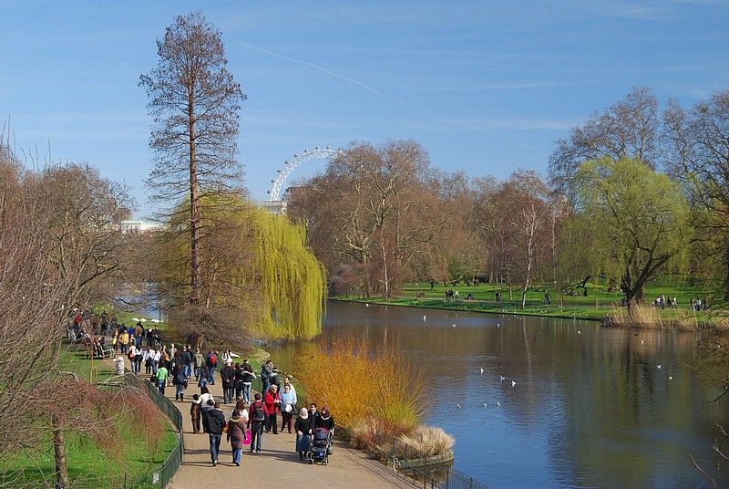 DSC_2010.JPG
