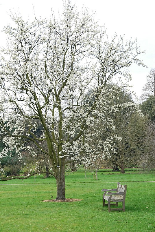 DSC_2330.JPG