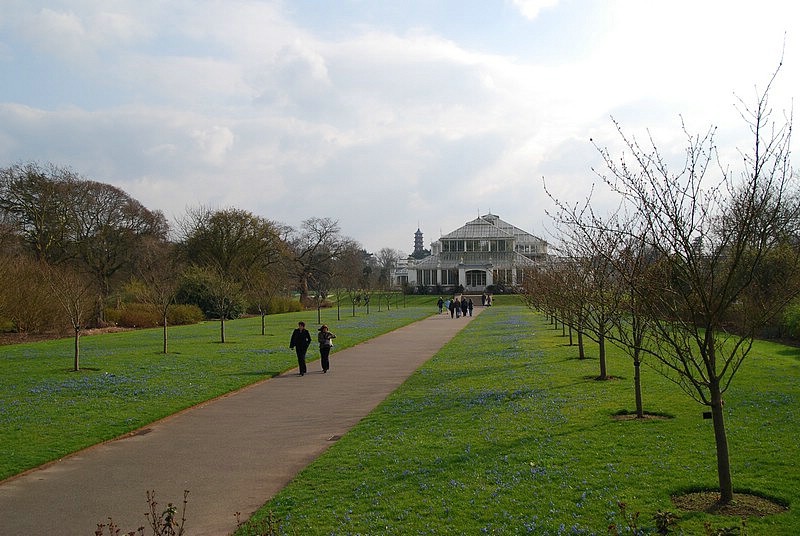 DSC_2346.JPG