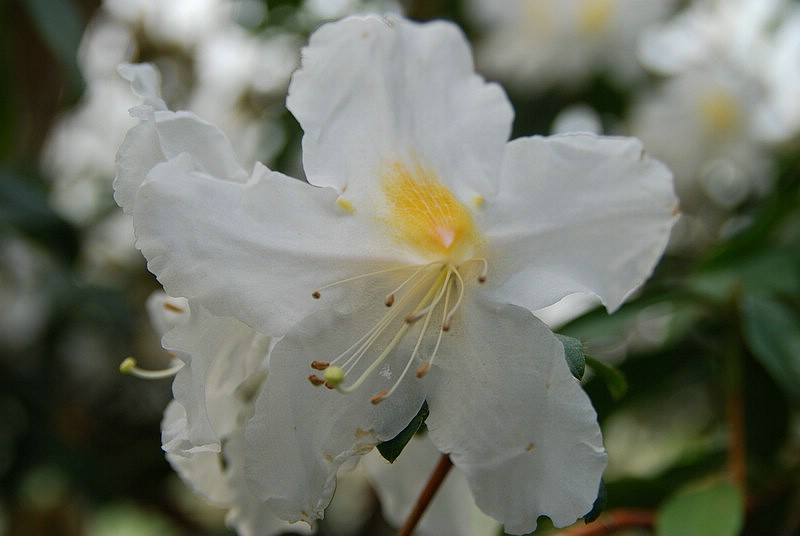 DSC_2358.JPG