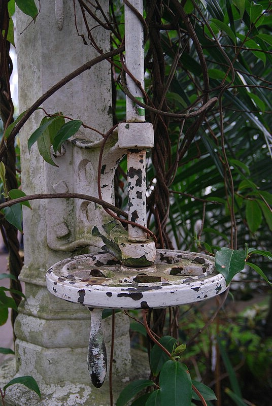 DSC_2367.JPG