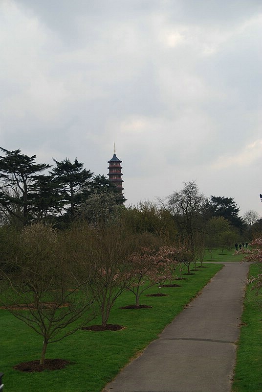 DSC_2393.JPG