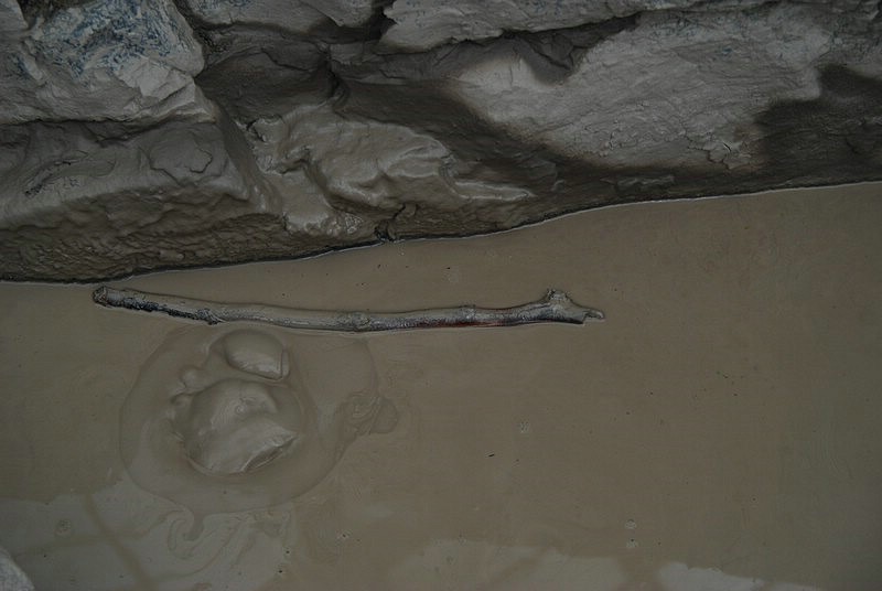 DSC_2401.JPG