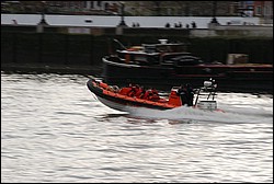 DSC_0210.JPG