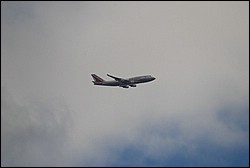 DSC_0254.JPG