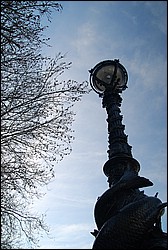 DSC_1847.JPG
