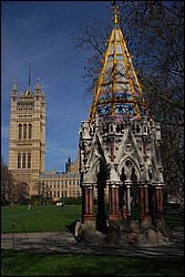 DSC_1902D.JPG