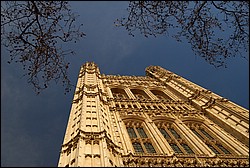 DSC_1910.JPG