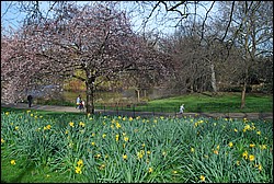 DSC_1994.JPG