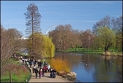DSC_2010.JPG