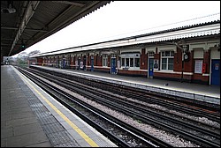 DSC_2309.JPG