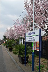DSC_2316.JPG