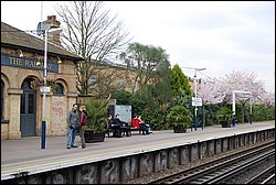 DSC_2317.JPG