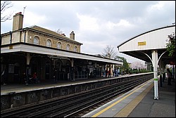 DSC_2318.JPG