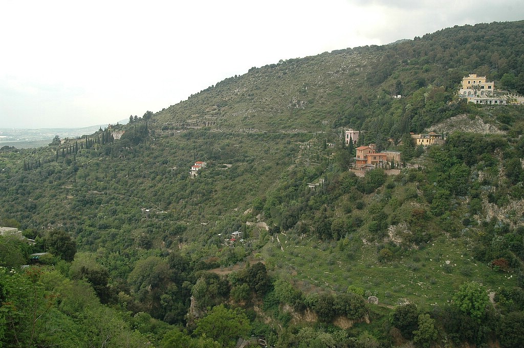 DSC_0310.JPG