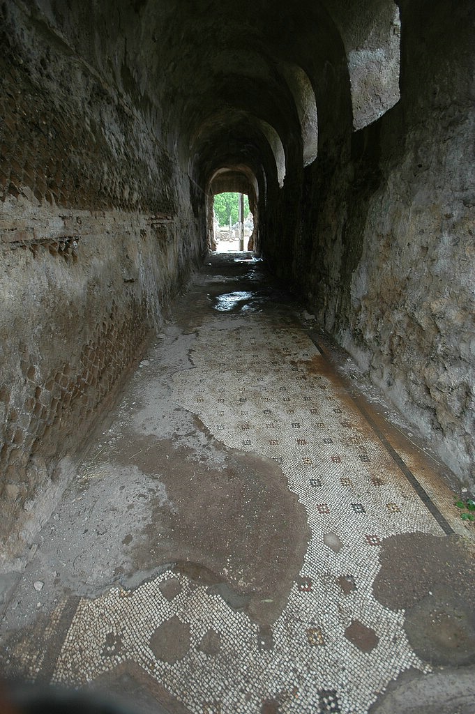 DSC_0405.JPG