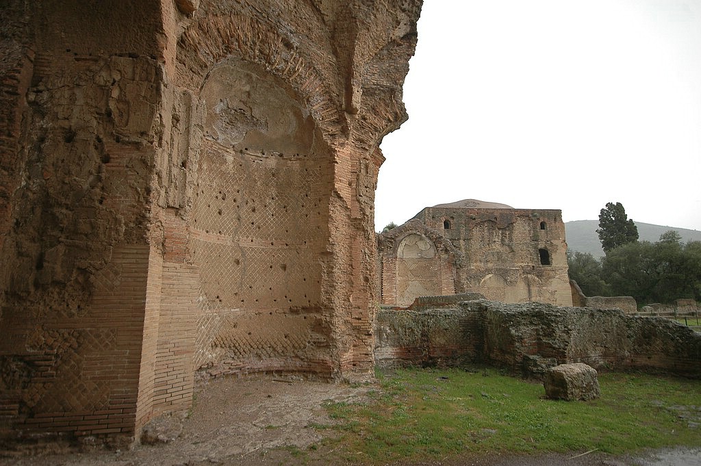 DSC_0411.JPG