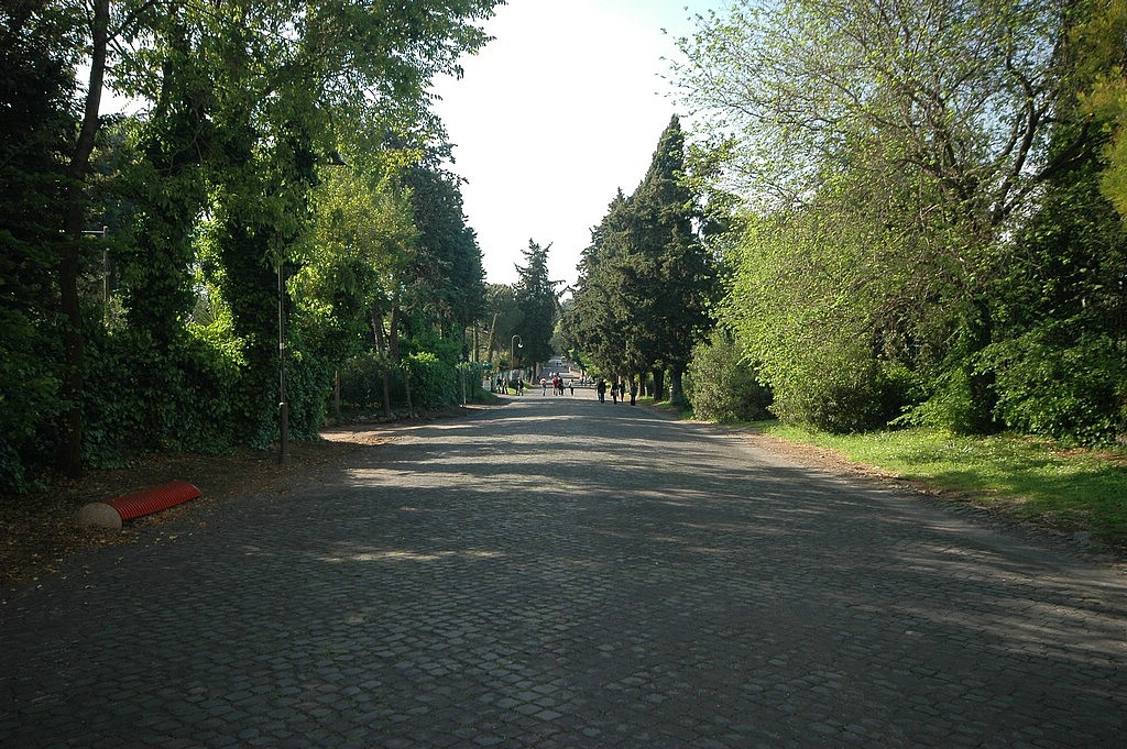 DSC_0270.JPG
