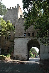 DSC_0263.JPG
