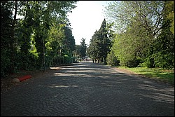 DSC_0270.JPG