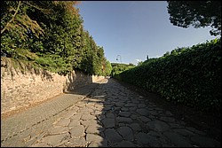 DSC_0278E.JPG