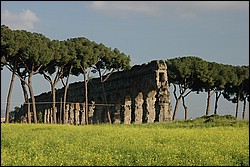 DSC_0306E.JPG