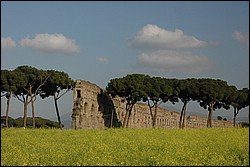 DSC_0319E.JPG