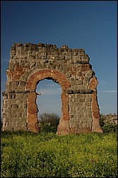 DSC_0320E.JPG