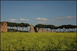 DSC_0325E.JPG