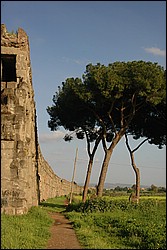 DSC_0330E.JPG