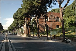 DSC_1025.JPG