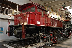 DSC_0502.JPG