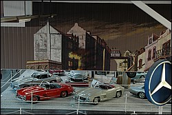 DSC_0528.JPG