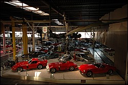 DSC_0554.JPG