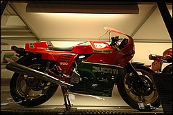 DSC_0556.JPG