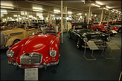 DSC_1004.JPG