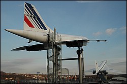 DSC_1009.JPG