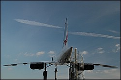 DSC_1012 Beschnitt.jpg