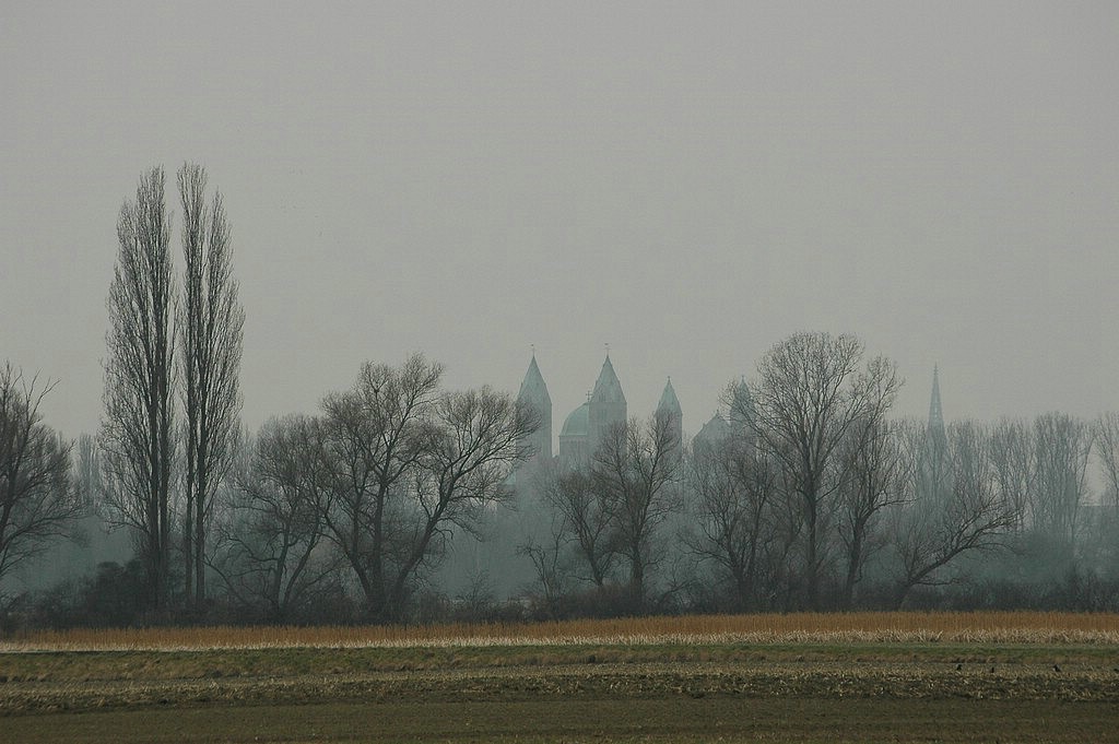 DSC_0009.JPG