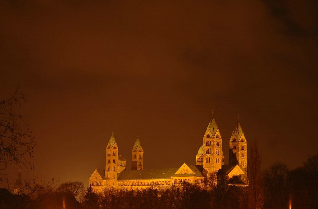 DSC_0339 Beschnitt.jpg